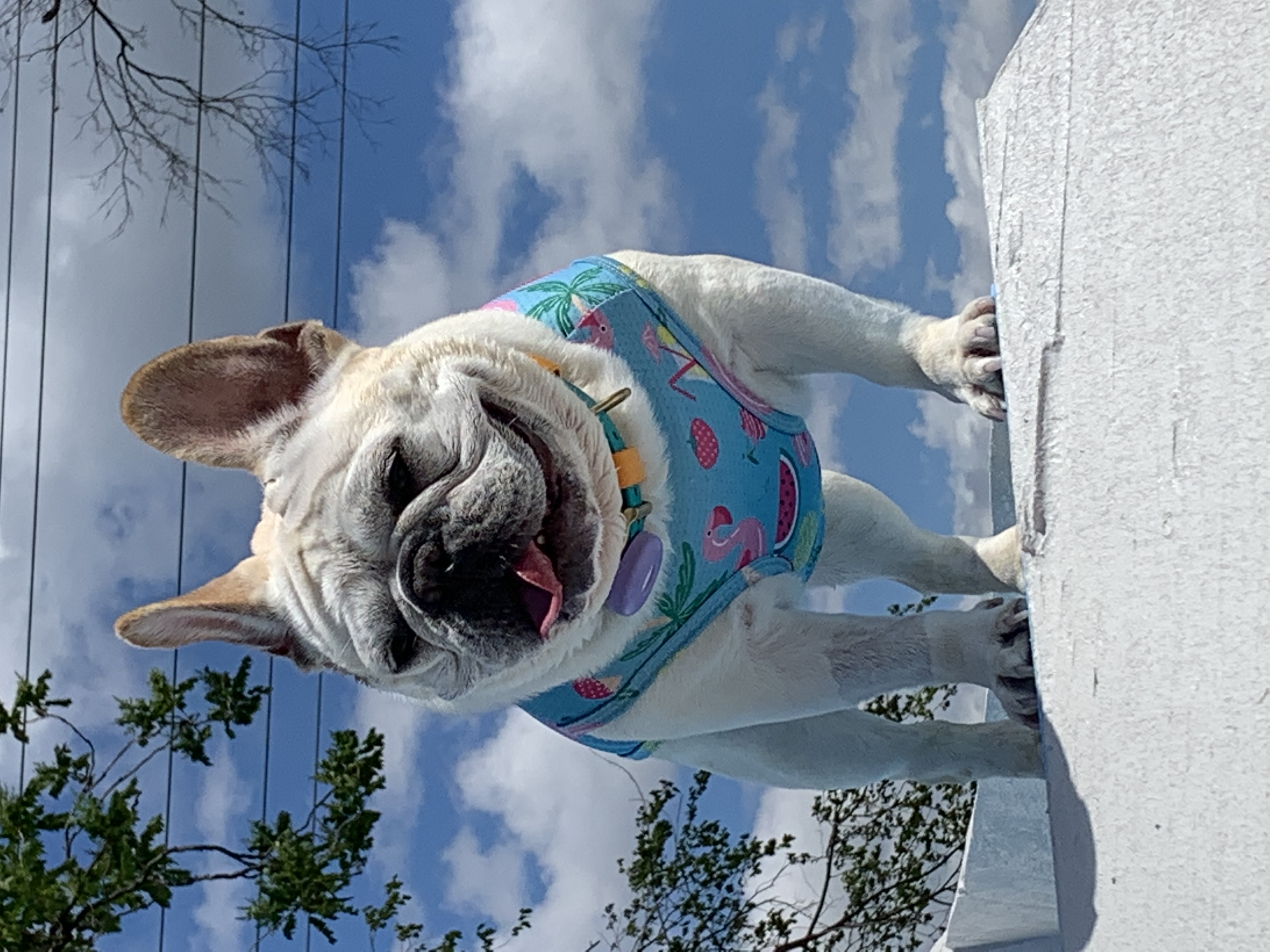 ./2022/06 - St Louis/06 - Day 6/20220526-105951498.JPG